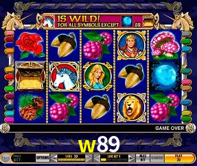 Descubra o Mundo do Cassino Online com w89